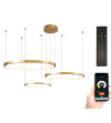 Lampa wisząca Silva IV Smart Home - złote okręgi LED ring  40/60/80cm
