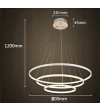 Lampa wisząca LED ring Silva IV okrągła 40/60/80cm | Pilot radiowy