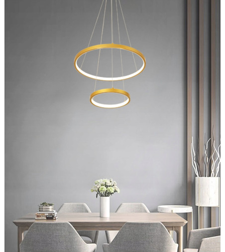 Nowoczesna lampa wisząca LED ring Silva I okrągła 20/40cm